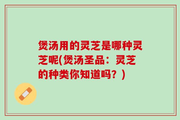 煲汤用的灵芝是哪种灵芝呢(煲汤圣品：灵芝的种类你知道吗？)