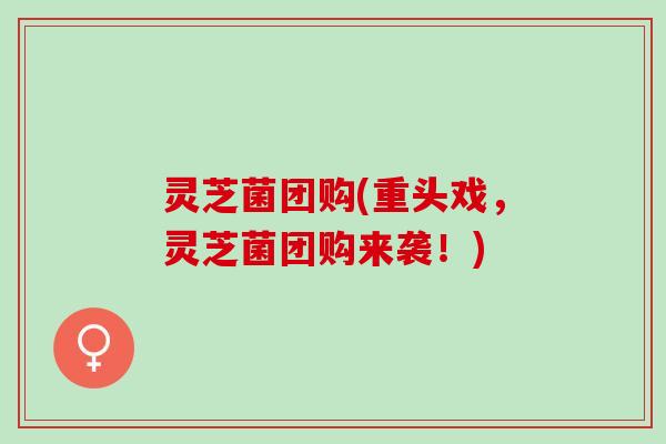灵芝菌团购(重头戏，灵芝菌团购来袭！)