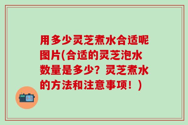 用多少灵芝煮水合适呢图片(合适的灵芝泡水数量是多少？灵芝煮水的方法和注意事项！)