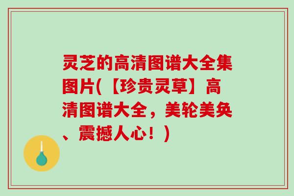 灵芝的高清图谱大全集图片(【珍贵灵草】高清图谱大全，美轮美奂、震撼人心！)