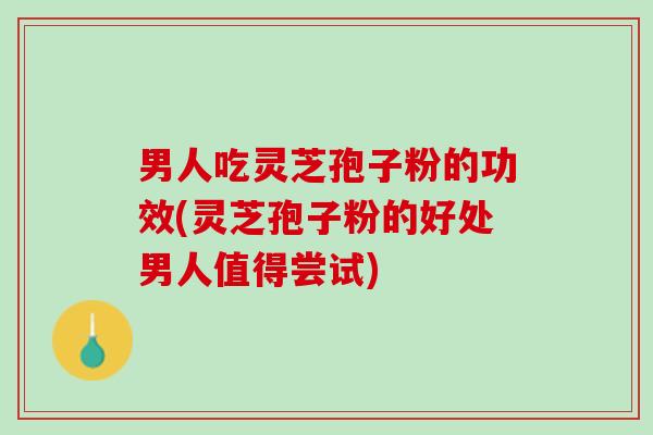 男人吃灵芝孢子粉的功效(灵芝孢子粉的好处男人值得尝试)