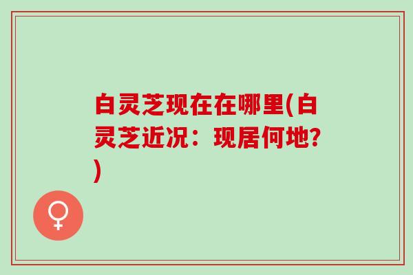 白灵芝现在在哪里(白灵芝近况：现居何地？)