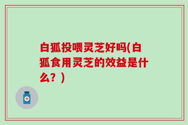 白狐投喂灵芝好吗(白狐食用灵芝的效益是什么？)