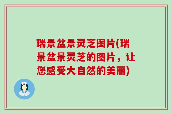 瑞景盆景灵芝图片(瑞景盆景灵芝的图片，让您感受大自然的美丽)