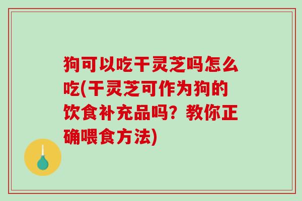 狗可以吃干灵芝吗怎么吃(干灵芝可作为狗的饮食补充品吗？教你正确喂食方法)