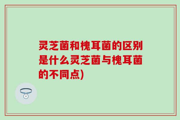 灵芝菌和槐耳菌的区别是什么灵芝菌与槐耳菌的不同点)