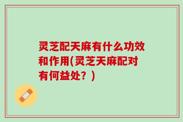 灵芝配天麻有什么功效和作用(灵芝天麻配对有何益处？)