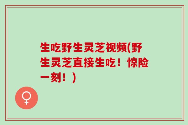 生吃野生灵芝视频(野生灵芝直接生吃！惊险一刻！)