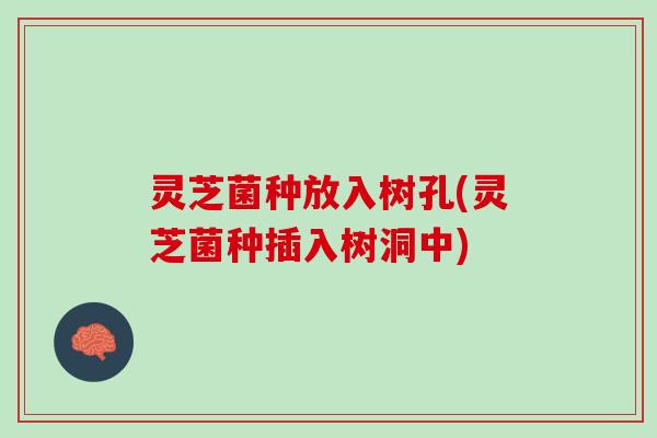 灵芝菌种放入树孔(灵芝菌种插入树洞中)