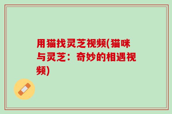 用猫找灵芝视频(猫咪与灵芝：奇妙的相遇视频)