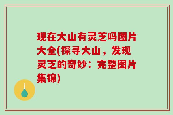 现在大山有灵芝吗图片大全(探寻大山，发现灵芝的奇妙：完整图片集锦)