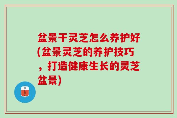 盆景干灵芝怎么养护好(盆景灵芝的养护技巧，打造健康生长的灵芝盆景)
