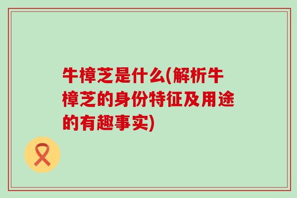 牛樟芝是什么(解析牛樟芝的身份特征及用途的有趣事实)