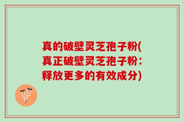 真的破壁灵芝孢子粉(真正破壁灵芝孢子粉：释放更多的有效成分)