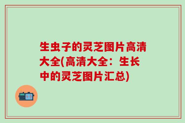 生虫子的灵芝图片高清大全(高清大全：生长中的灵芝图片汇总)