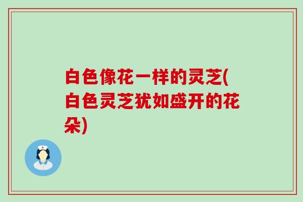 白色像花一样的灵芝(白色灵芝犹如盛开的花朵)