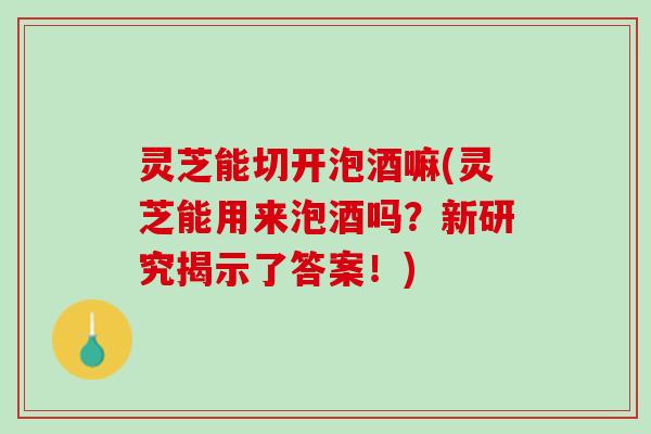 灵芝能切开泡酒嘛(灵芝能用来泡酒吗？新研究揭示了答案！)