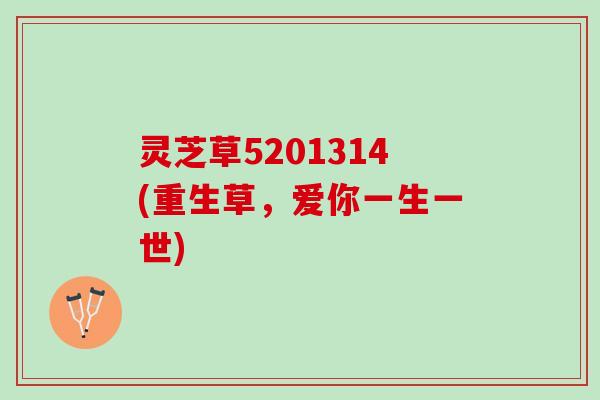 灵芝草5201314(重生草，爱你一生一世)