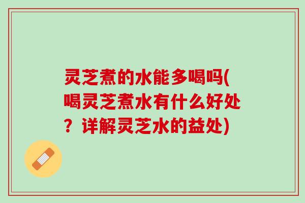 灵芝煮的水能多喝吗(喝灵芝煮水有什么好处？详解灵芝水的益处)