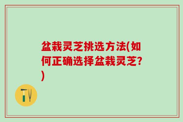 盆栽灵芝挑选方法(如何正确选择盆栽灵芝？)