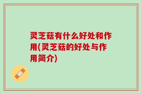 灵芝菇有什么好处和作用(灵芝菇的好处与作用简介)