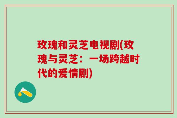玫瑰和灵芝电视剧(玫瑰与灵芝：一场跨越时代的爱情剧)