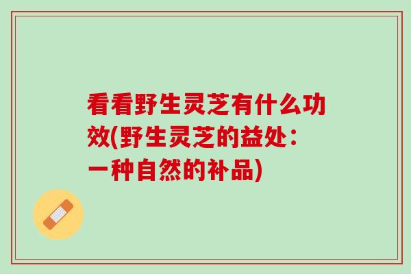 看看野生灵芝有什么功效(野生灵芝的益处：一种自然的补品)