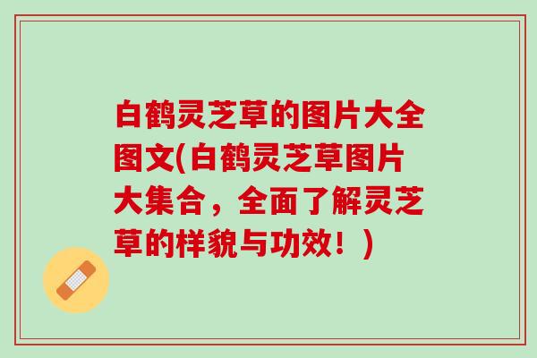 白鹤灵芝草的图片大全图文(白鹤灵芝草图片大集合，全面了解灵芝草的样貌与功效！)
