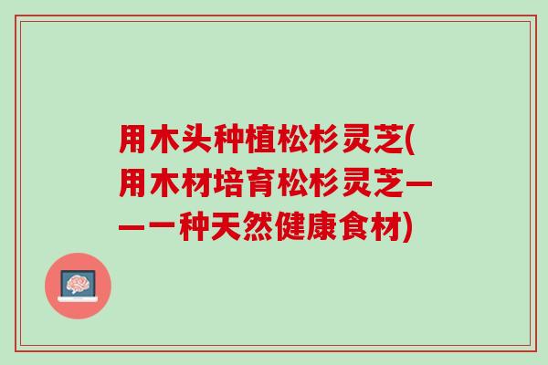 用木头种植松杉灵芝(用木材培育松杉灵芝——一种天然健康食材)