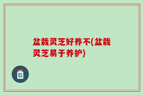 盆栽灵芝好养不(盆栽灵芝易于养护)