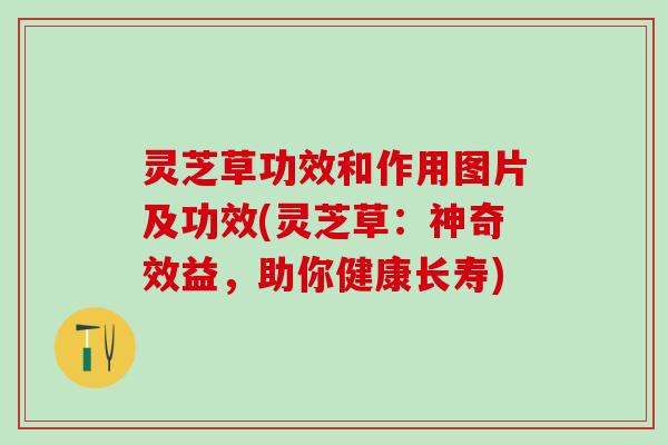 灵芝草功效和作用图片及功效(灵芝草：神奇效益，助你健康长寿)