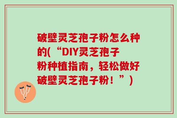 破壁灵芝孢子粉怎么种的(“DIY灵芝孢子粉种植指南，轻松做好破壁灵芝孢子粉！”)