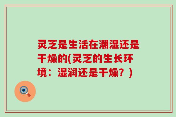 灵芝是生活在潮湿还是干燥的(灵芝的生长环境：湿润还是干燥？)
