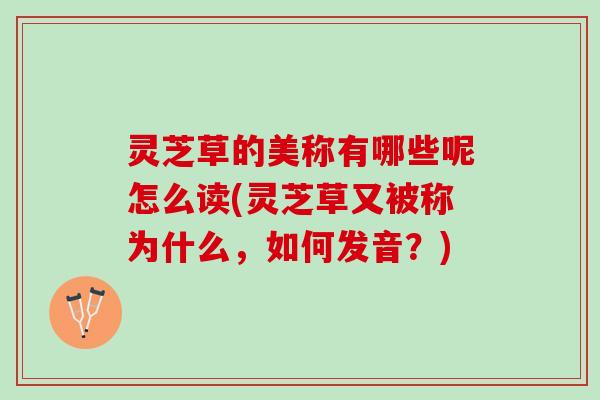 灵芝草的美称有哪些呢怎么读(灵芝草又被称为什么，如何发音？)
