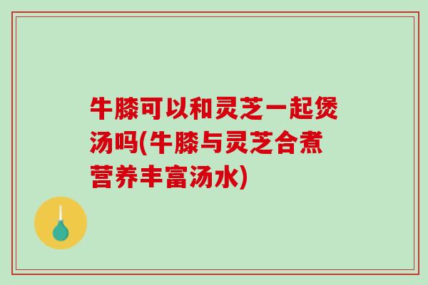 牛膝可以和灵芝一起煲汤吗(牛膝与灵芝合煮营养丰富汤水)