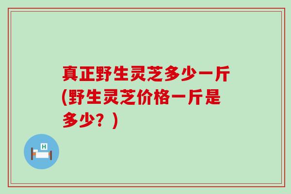 真正野生灵芝多少一斤(野生灵芝价格一斤是多少？)