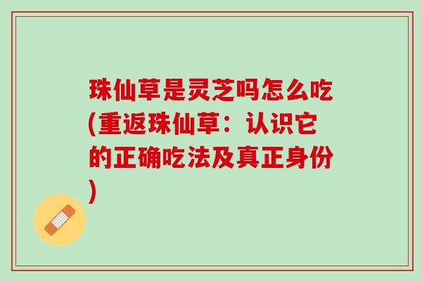 珠仙草是灵芝吗怎么吃(重返珠仙草：认识它的正确吃法及真正身份)