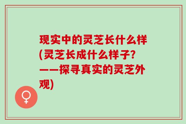 现实中的灵芝长什么样(灵芝长成什么样子？——探寻真实的灵芝外观)