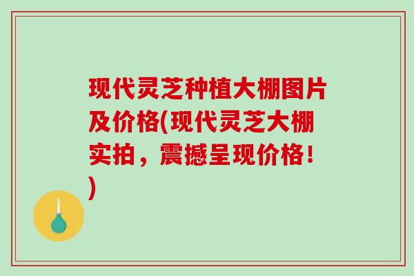 现代灵芝种植大棚图片及价格(现代灵芝大棚实拍，震撼呈现价格！)