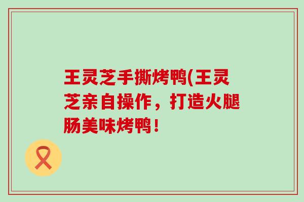 王灵芝手撕烤鸭(王灵芝亲自操作，打造火腿肠美味烤鸭！