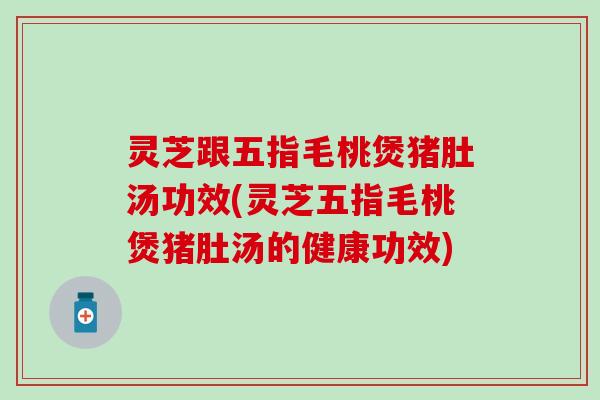 灵芝跟五指毛桃煲猪肚汤功效(灵芝五指毛桃煲猪肚汤的健康功效)