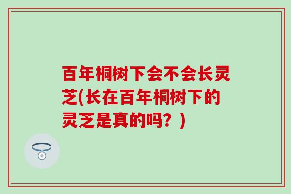 百年桐树下会不会长灵芝(长在百年桐树下的灵芝是真的吗？)