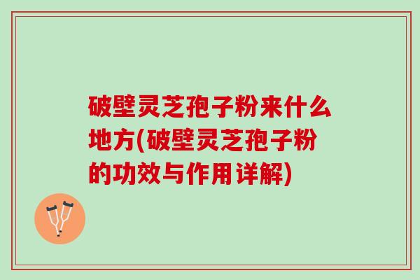 破壁灵芝孢子粉来什么地方(破壁灵芝孢子粉的功效与作用详解)