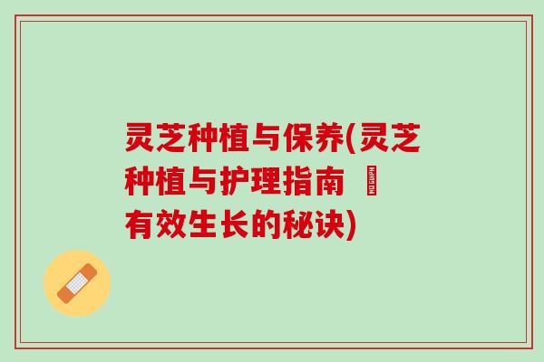 灵芝种植与保养(灵芝种植与护理指南 – 有效生长的秘诀)