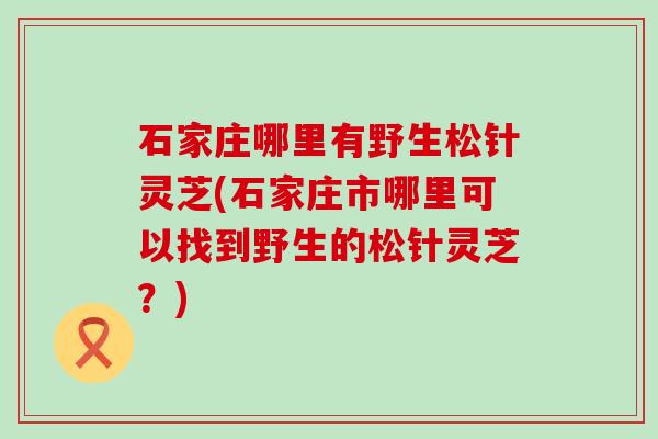 石家庄哪里有野生松针灵芝(石家庄市哪里可以找到野生的松针灵芝？)