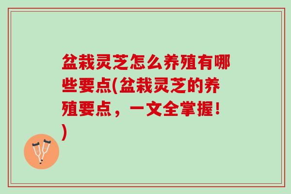 盆栽灵芝怎么养殖有哪些要点(盆栽灵芝的养殖要点，一文全掌握！)