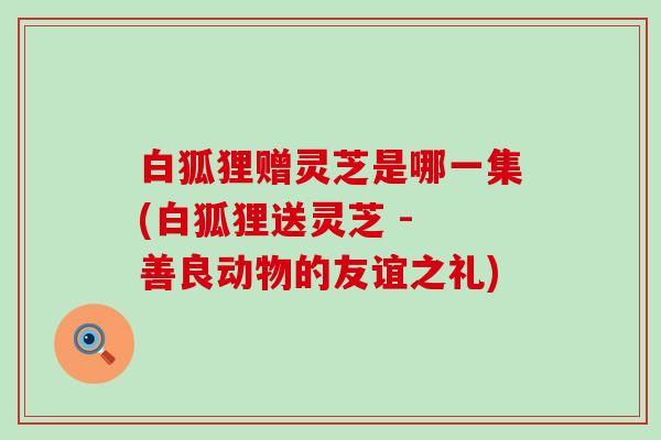 白狐狸赠灵芝是哪一集(白狐狸送灵芝 - 善良动物的友谊之礼)