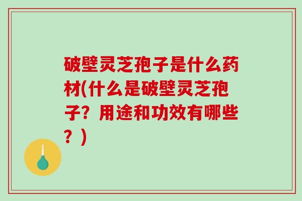 破壁灵芝孢子是什么药材(什么是破壁灵芝孢子？用途和功效有哪些？)