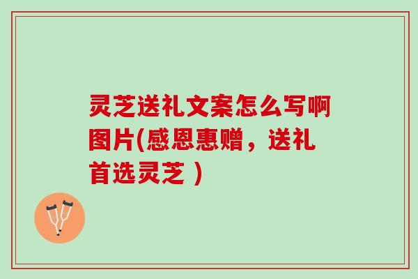 灵芝送礼文案怎么写啊图片(感恩惠赠，送礼首选灵芝 )