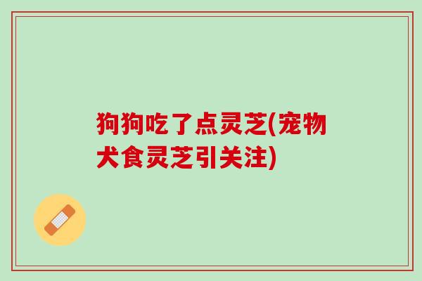 狗狗吃了点灵芝(宠物犬食灵芝引关注)